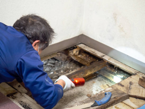 Water Damage Restoration in De Smet, SD